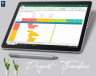 Project Timeline Template