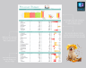 Personal budget template