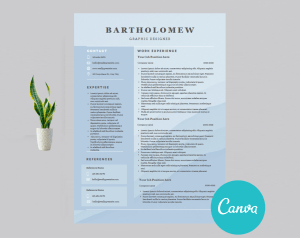 Professional Resume
