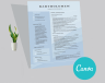 Professional Resume
