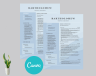 Professional Resume