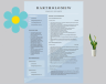 Professional Resume
