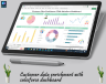 Customer data enrichment with salesforce dashboard
