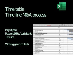 Time table | time line | project plan for a financing process | M&A document | Excel template | in English