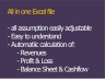 Financial planning - 3-year planning including cost and sales planning, profit and loss account, balance sheet and cash