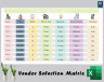 Vendor Selection Matrix