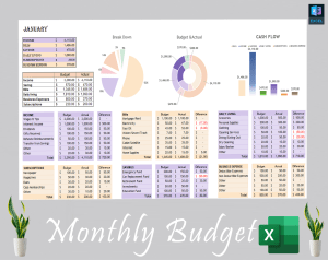 Monthly Budget Dashboard