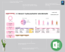 IT project management dashboard