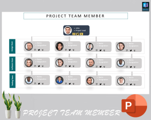 Project Team Organization Chart