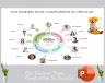 Our Business Team Composition In circular