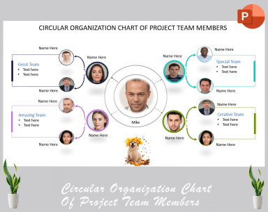 Circular organization chart of project team members