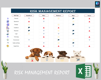 Risk management report