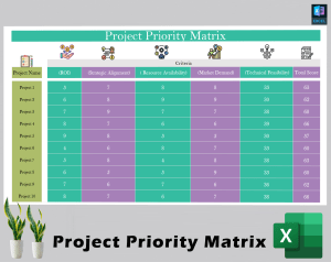 Project Priority Matrix