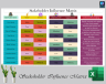 Stakeholder Influence Matrix