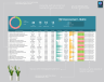 HSE Improvement Matrix Template