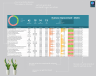 Business Improvement Matrix Template