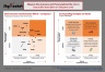 Bain's Business Transformation Matrix Template