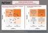 Bain's Business Transformation Matrix Template