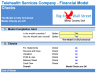 Telehealth Services Company Financial Model (10+ Yrs. DCF and Valuation)