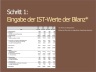 Balance Sheet - Bilanzplanung - Vorlage für die 5-Jahres-Planung der Bilanz einer GmbH inklusive Kapitalflussrechnung