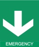 13 Emergency Exit Signages