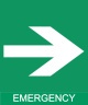 13 Emergency Exit Signages