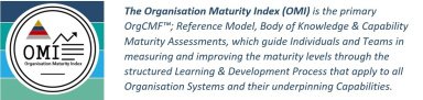 An elaborated overview of the Organization Maturity Index