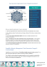 An elaborated overview of the Organization Maturity Index - Page 3