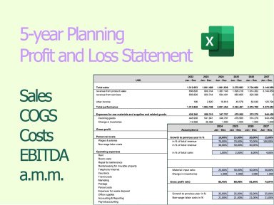 P&L planning - template for the 5-year planning of the income statement