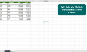 Split one excel sheet into multiple sheets based on column value