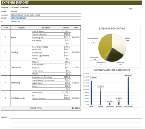 Simple and Elegant Expense and Budget Template