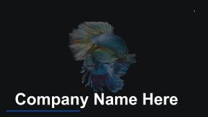 Corporate Presentation for Company