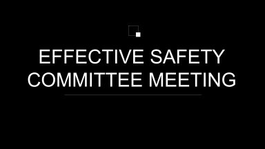 Effective Safety committee meeting