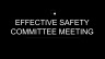 Effective Safety committee meeting