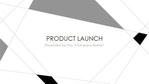 Product Launch