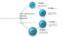 Product Roadmap