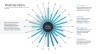 Product Roadmap