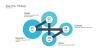 Product Roadmap