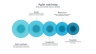 Product Roadmap