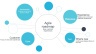 Product Roadmap