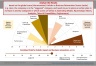McKinsey’s Transformation Maturity Speedometer Template