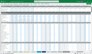 Renovation Project Finance Model
