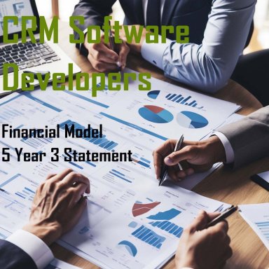 CRM Software Development Company Finance Model