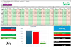 Multiple Business Management with Financial Insights - Yearly