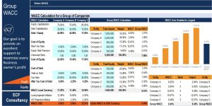 WACC (Weighted Average Cost of Capital) Calculation Model - for a Group of Companies