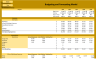 Budgeting and Forecasting Model