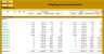 Budgeting and Forecasting Model