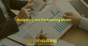 Budgeting and Forecasting Model