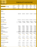Budgeting and Forecasting Model