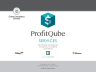ProfitQube™ Services - Enterprise Integrated Financial Planning for delivering Services (Excel/VBA, release 1.2.18)